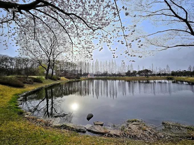 인천국제컨트리클럽 (인천국제CC) 소개 및 이용방법