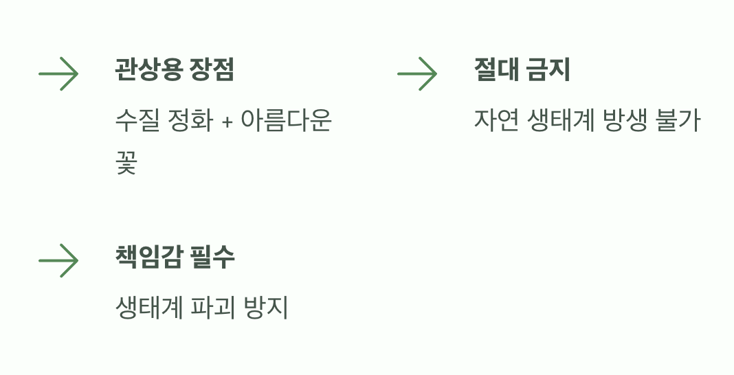 어항 속 작은 자연, 키우기 전에 알아둘 점
