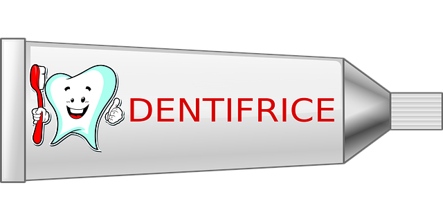 칸디다성 구내염