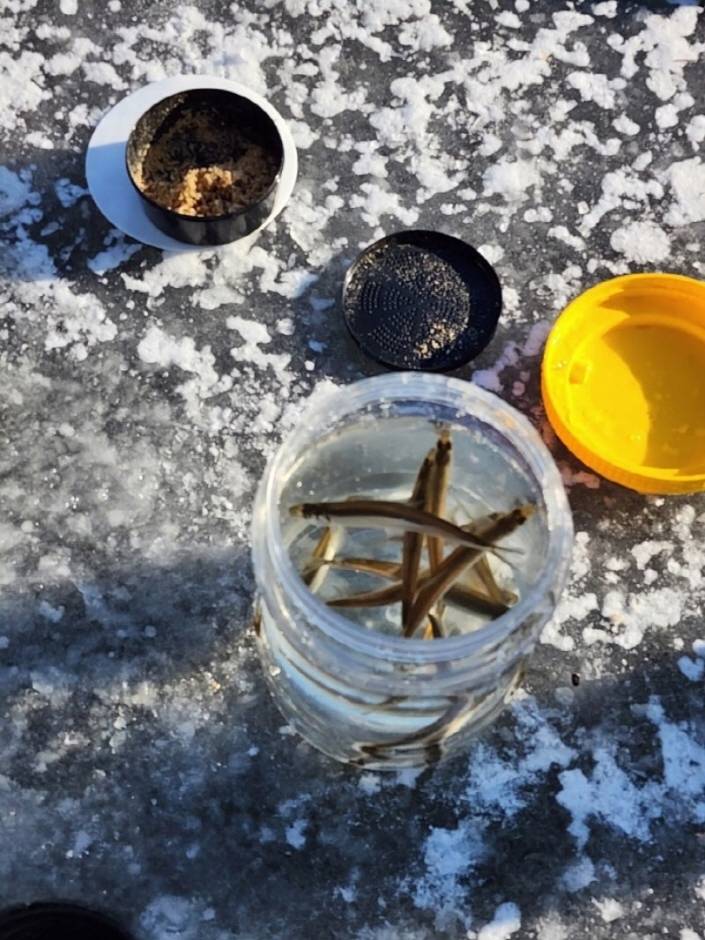 안성 동막골 빙어축제