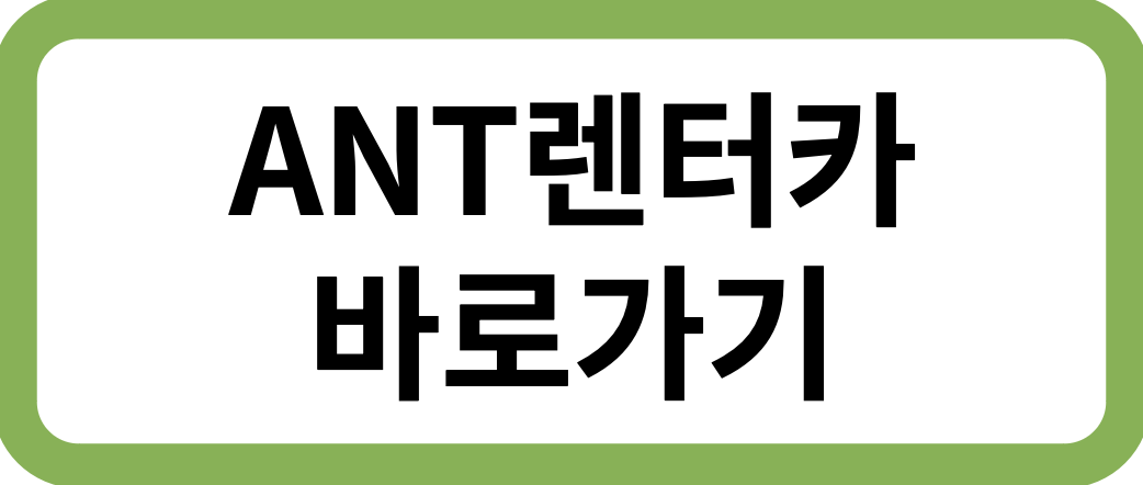ANT렌터카