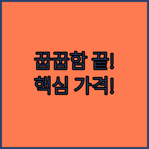 장마철 꿉꿉함 끝 오아 보아르 위니아..