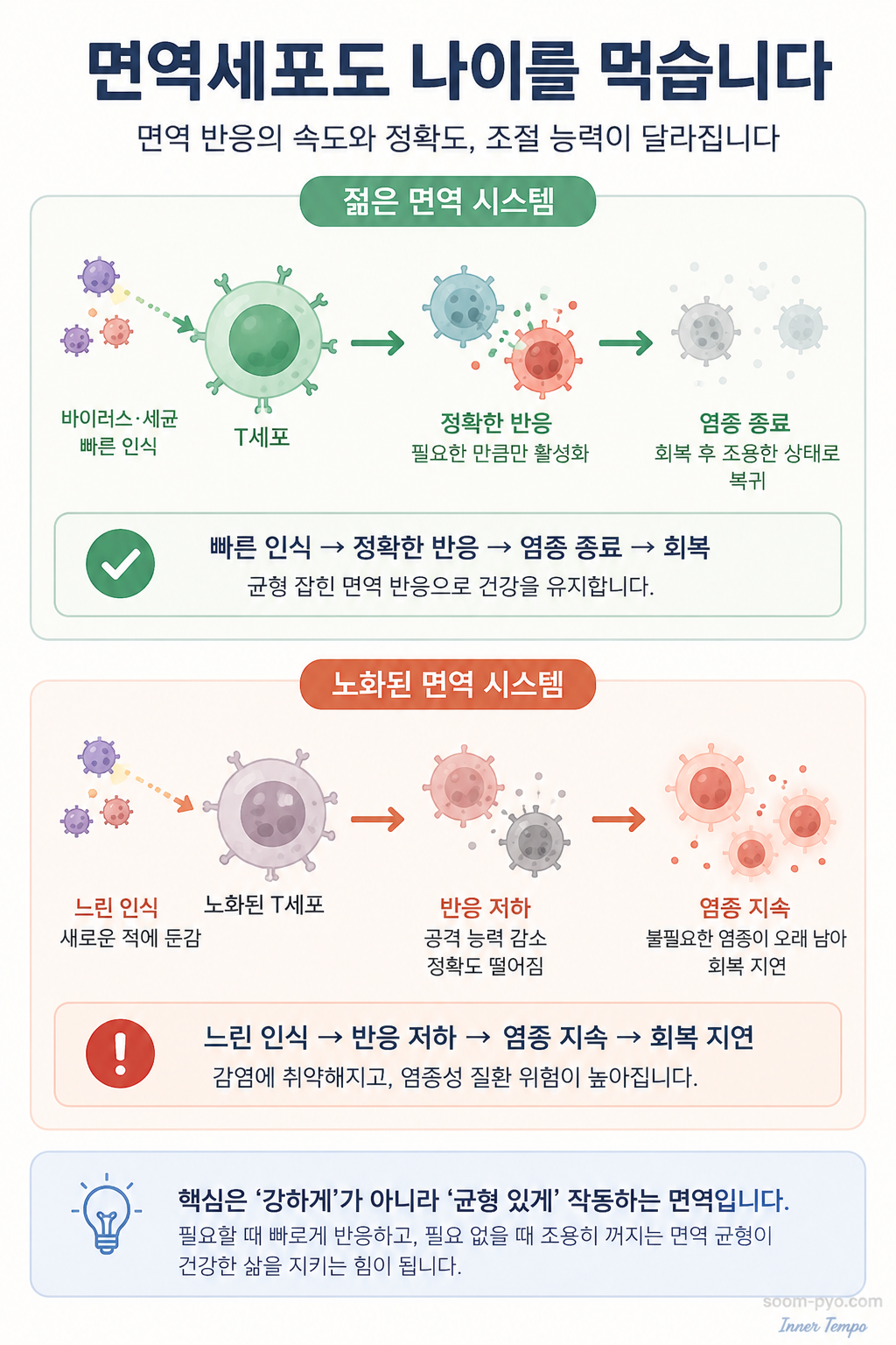 면역 시스템의 변화와 균형
