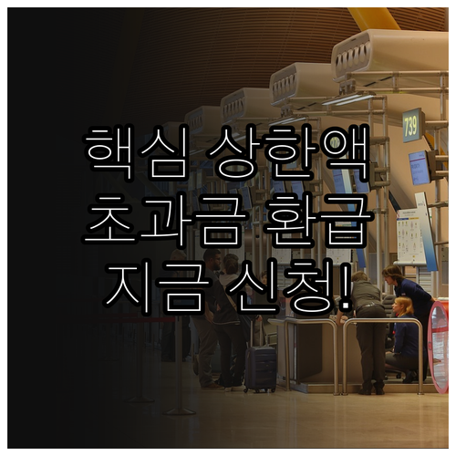 병원비 초과금 환급 본인부담상한액 조..