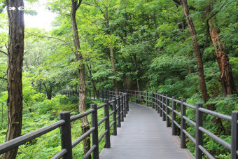 365 서울챌린지 1기 참여혜택&middot;신청방법 총정리