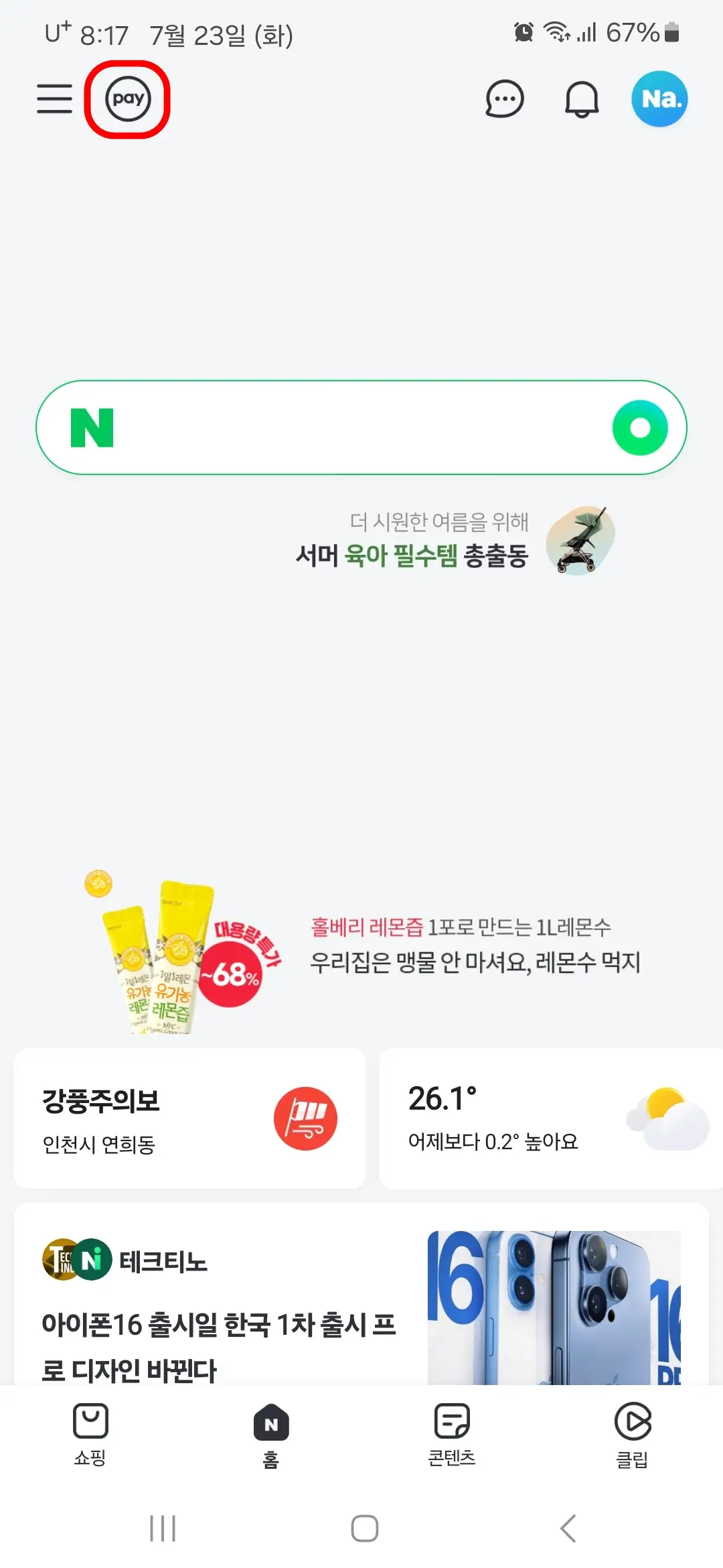 네이버페이 아이콘