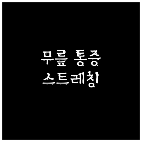 무릎 통증, 스트레칭으로 잡자! 핵심..