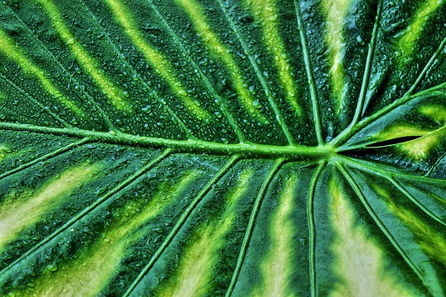 토양 수분과 영양소를 동시에 측정하는 복합 센서