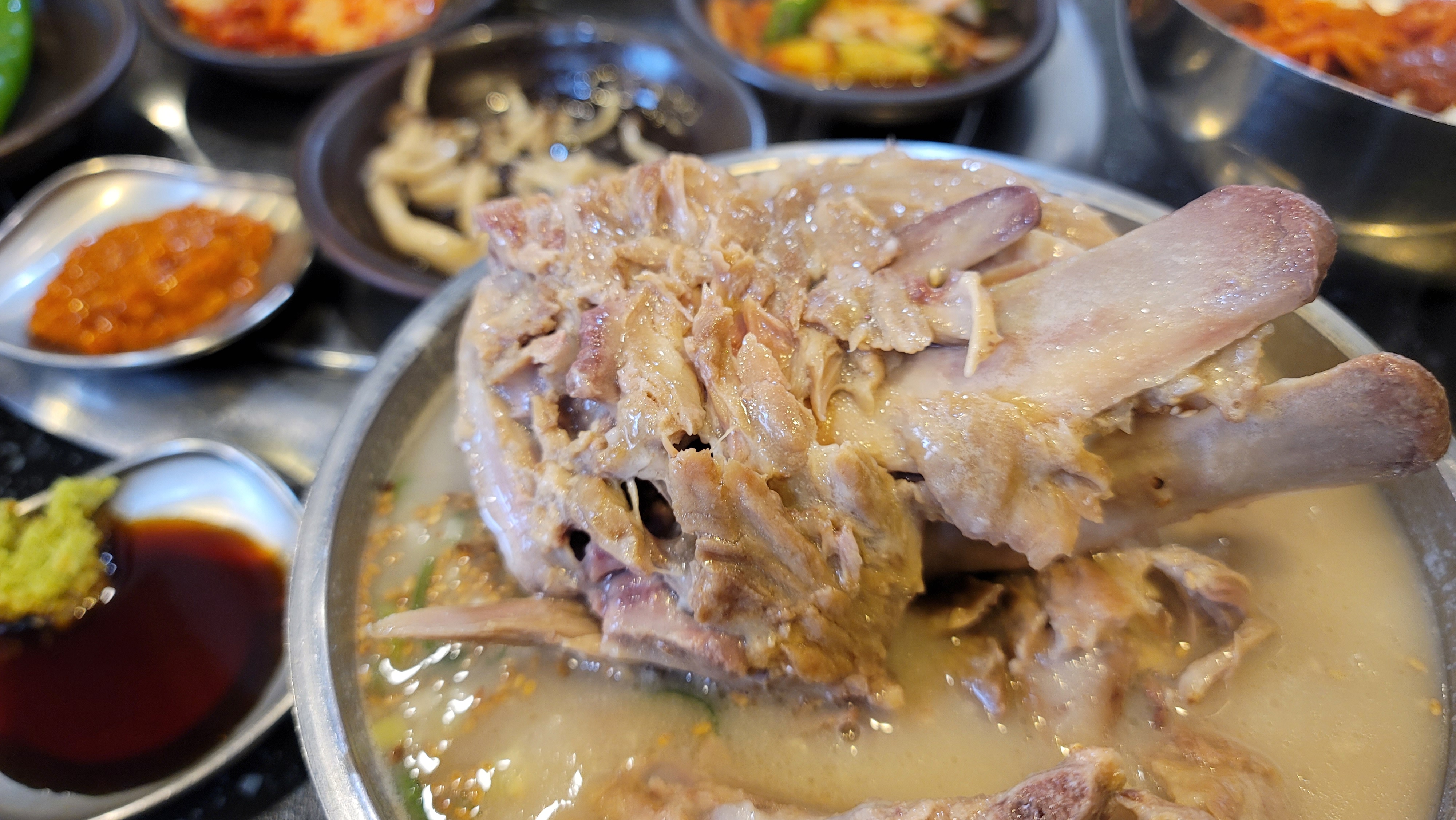 제주 접짝뼈국