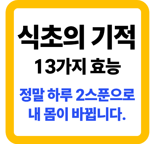 식초의 효능