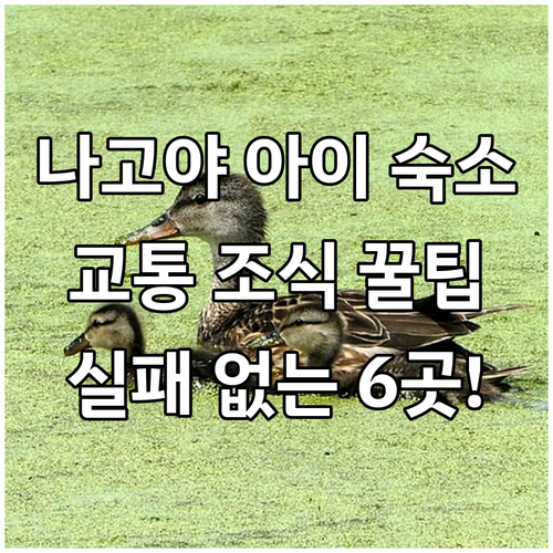 나고야 아이와 함께하는 여행 추천 호..