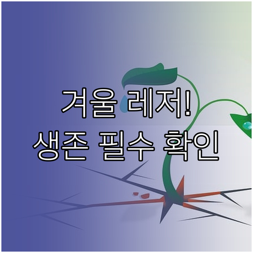 겨울 해양 레저 보험 면책 확인과 생..
