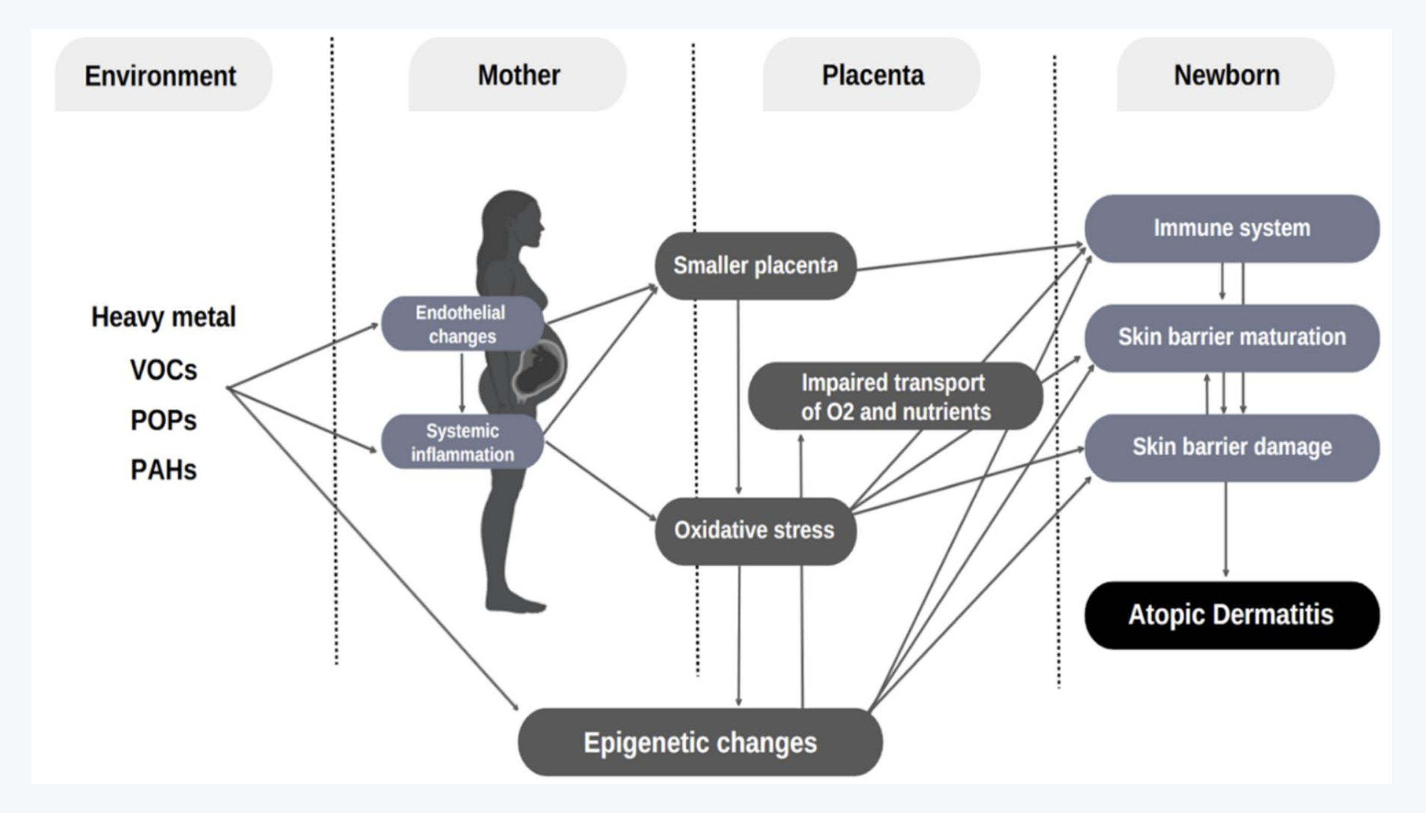 한양대학교, 랩스토리