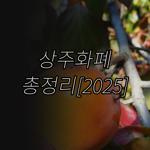 상주화폐 2025년 총정리: 혜택, ..