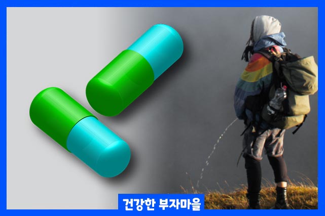 전립선 영양제 쏘팔메토의 효능