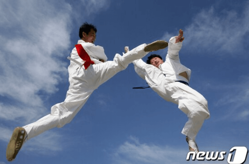 무예택견 지도자 자격 취득 방법 총정리