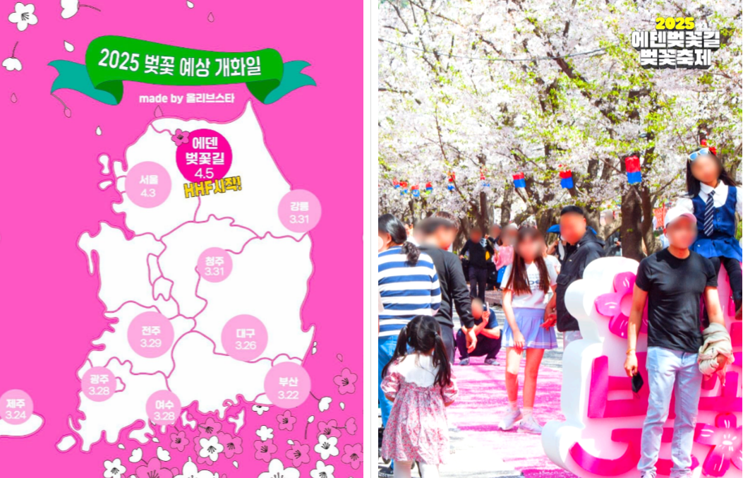 에덴벚꽃길 벚꽃축제