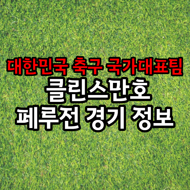 대한민국 국가대표 페루전 경기정보 썸네일