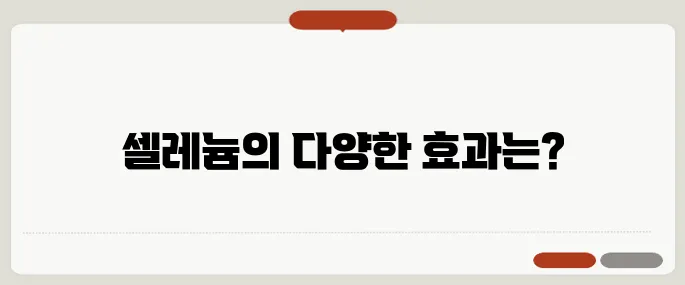 셀레늄 효능 정리 항산화와 면역력 강화에 도움