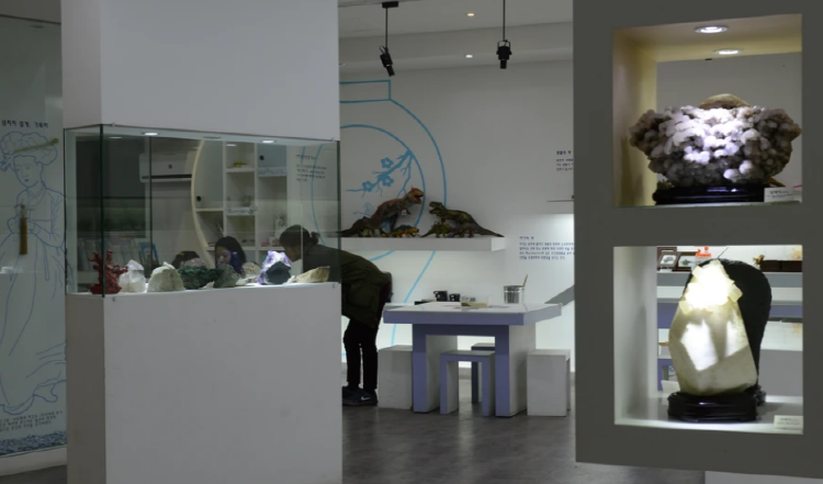 우석헌 자연사 박물관