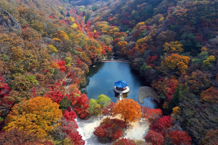 내장산-국립공원-단풍