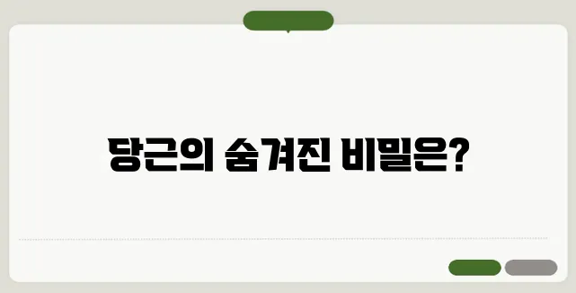 당근효능!? 베타카로틴의 힘 : 당뇨/탈모/피부