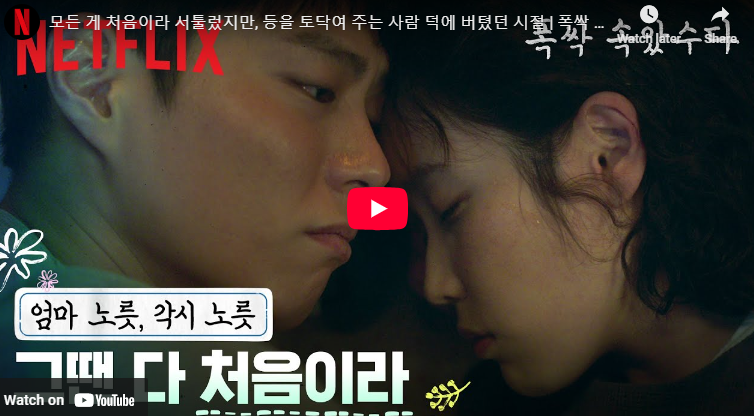 임상춘 작가 정체 ? 폭싹 속았수다로 본 작품 세계 스토리텔링 비밀