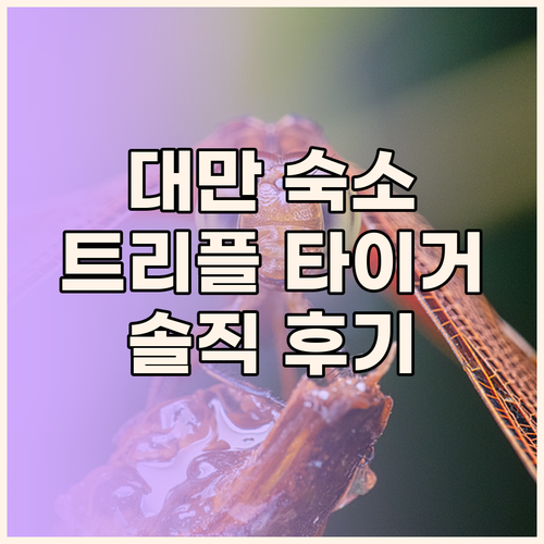 대만 여행 숙소, 트리플 타이거 인!