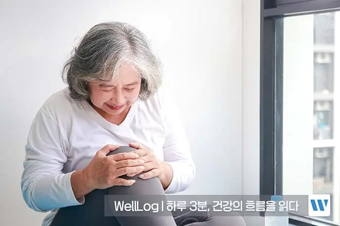 콘드로이친 효능, 복용법, 주의사항