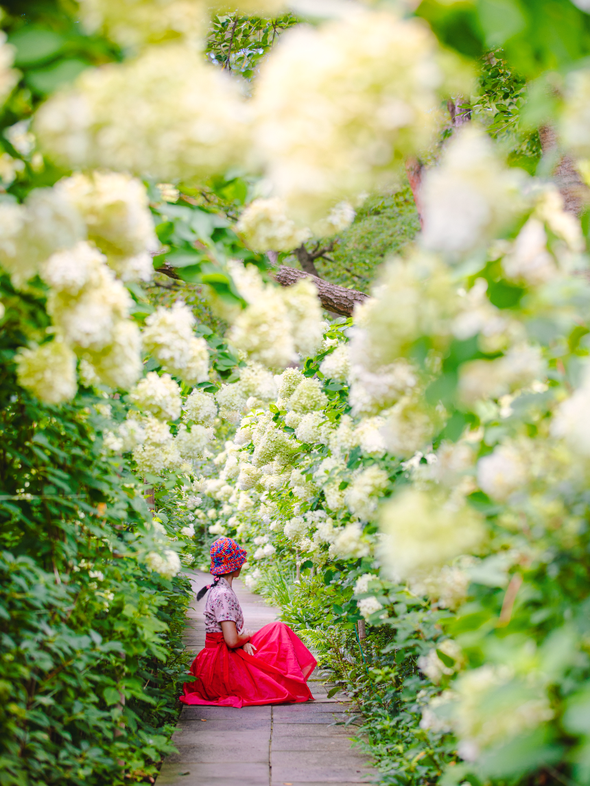 특색있고 아름다운 민간 정원 30선 추천 여행 - 22. 담양 죽화경