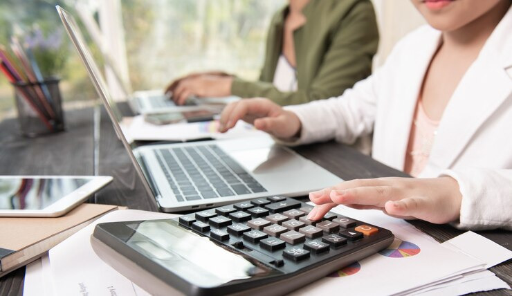 법인세 신고기간