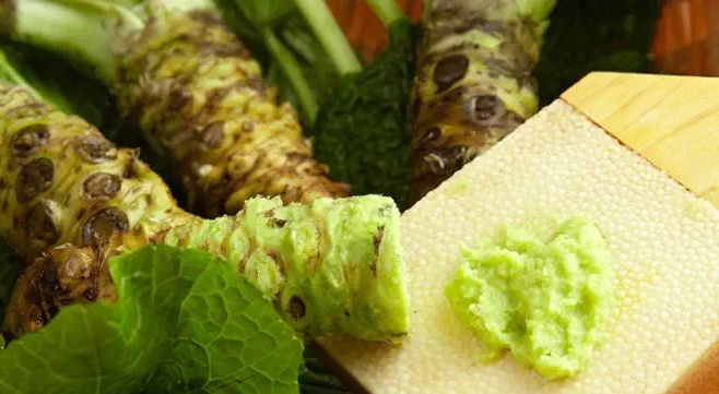 다양한 건강 효능 와사비