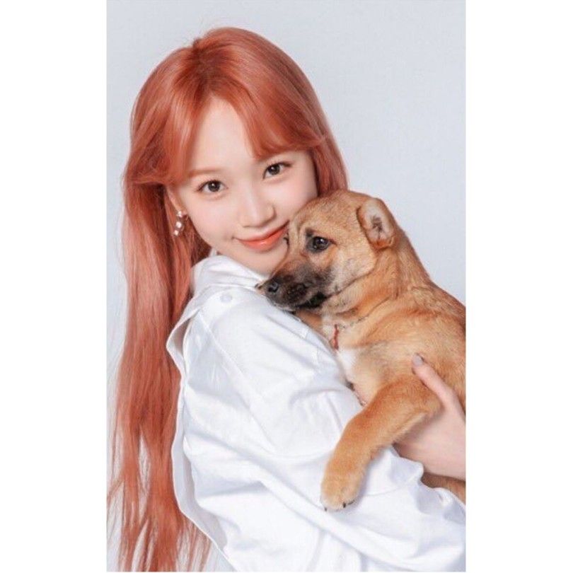 김채원 사진 모음