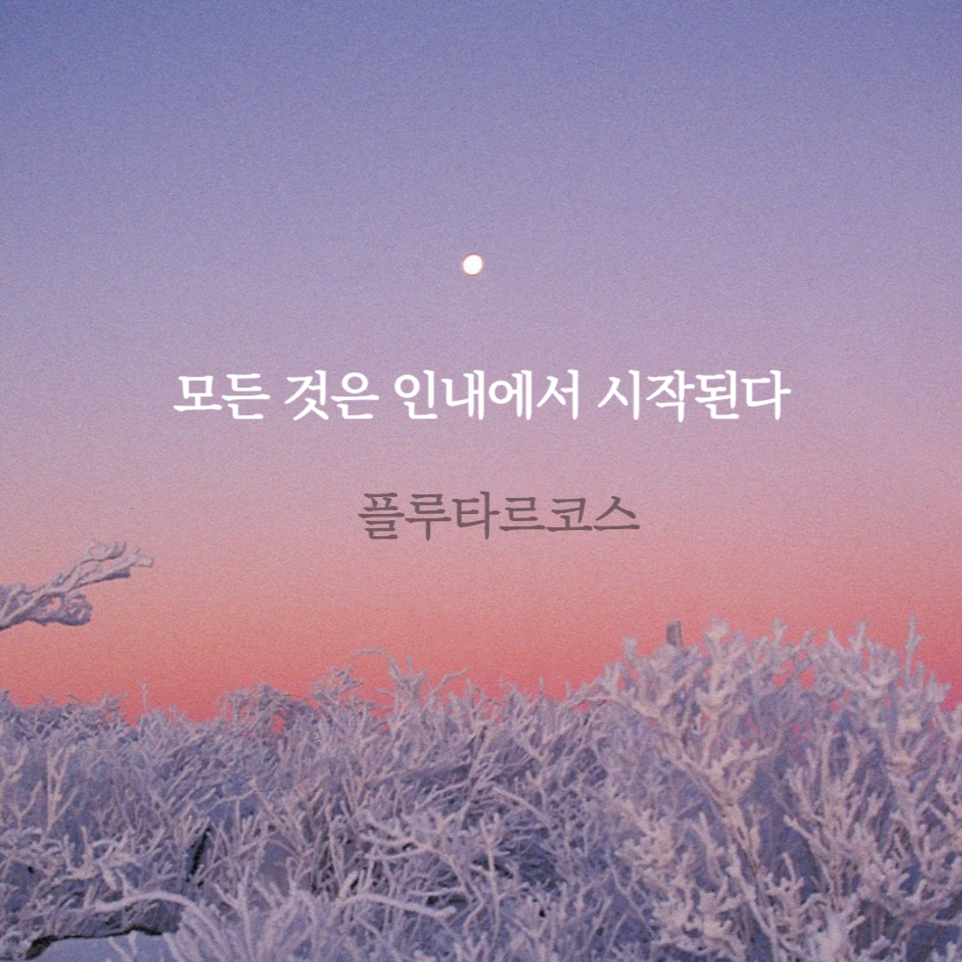 플루타르코스 명언