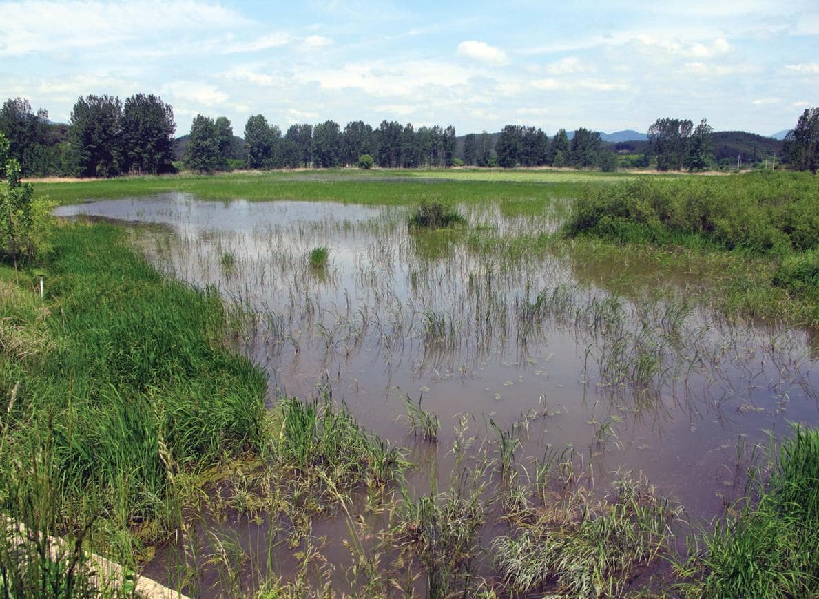 경남 창녕군 우포늪, 우포생태관, 우포출렁다리