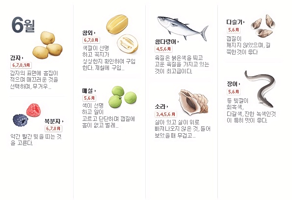 6월 제철음식