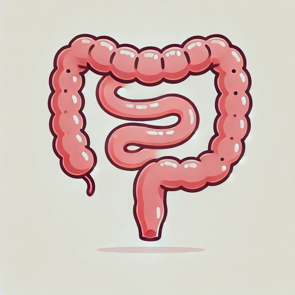 소장과 대장 이미지