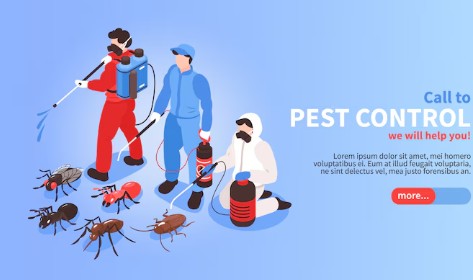 초파리-없애는-법-6