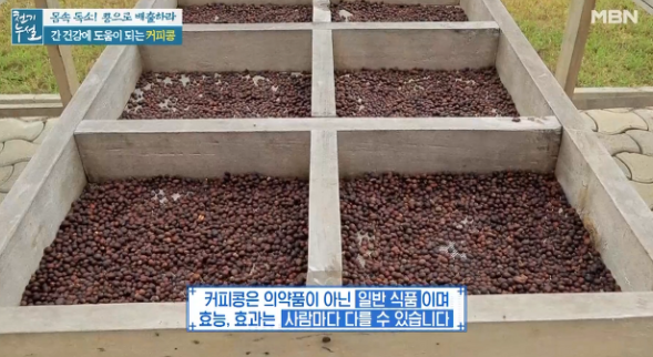 간암에 좋은 음식 커피라고
