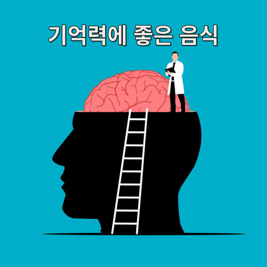 기억력에 좋은 음식