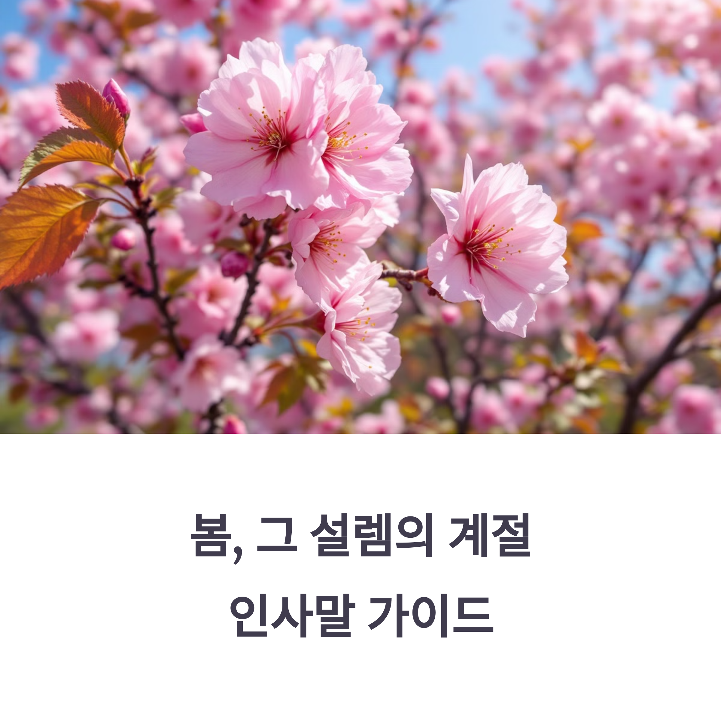 봄날씨와 인사의 의미