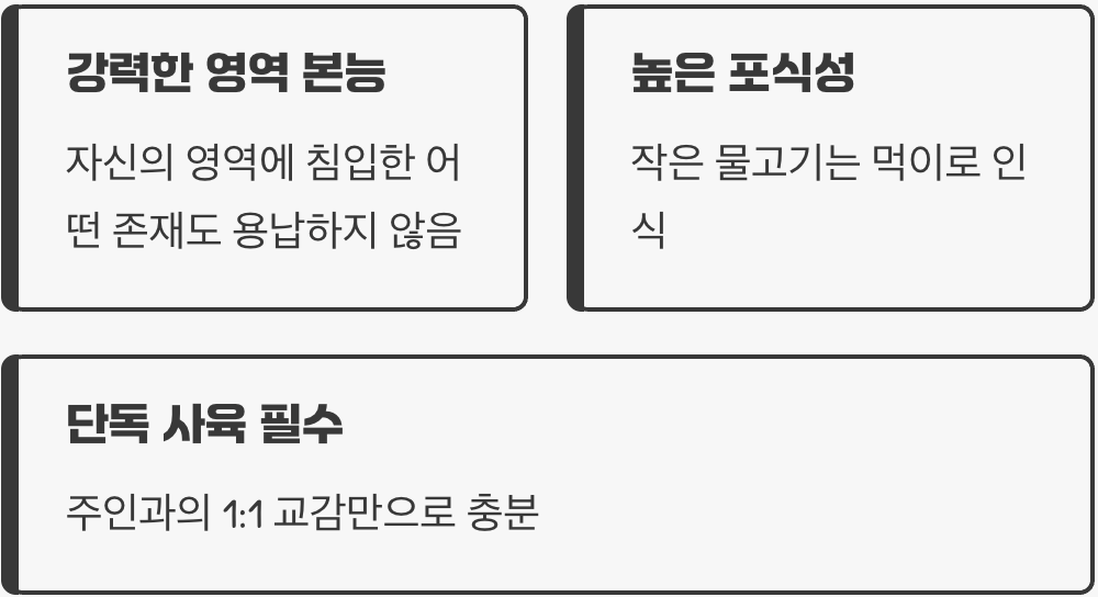 합사? NO! '외로운 왕'의 운명