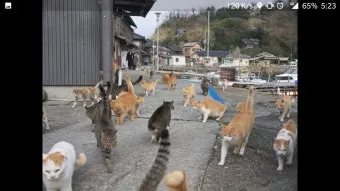&amp;quot;일본