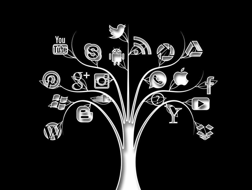 애플페이 한국 도입 전망과 Z세대 반응