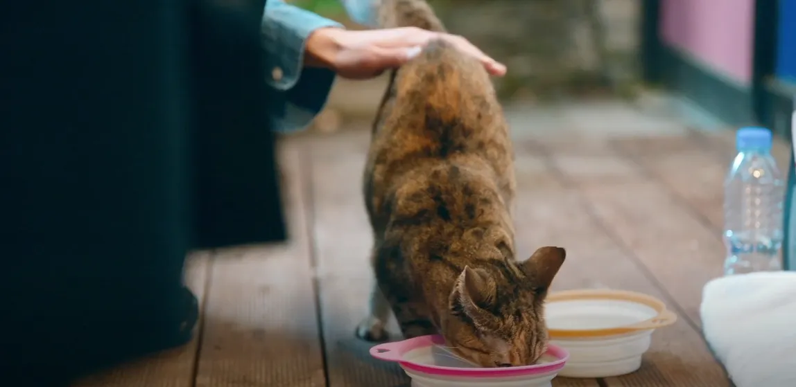 손해 보기 싫어서 2회 줄거리