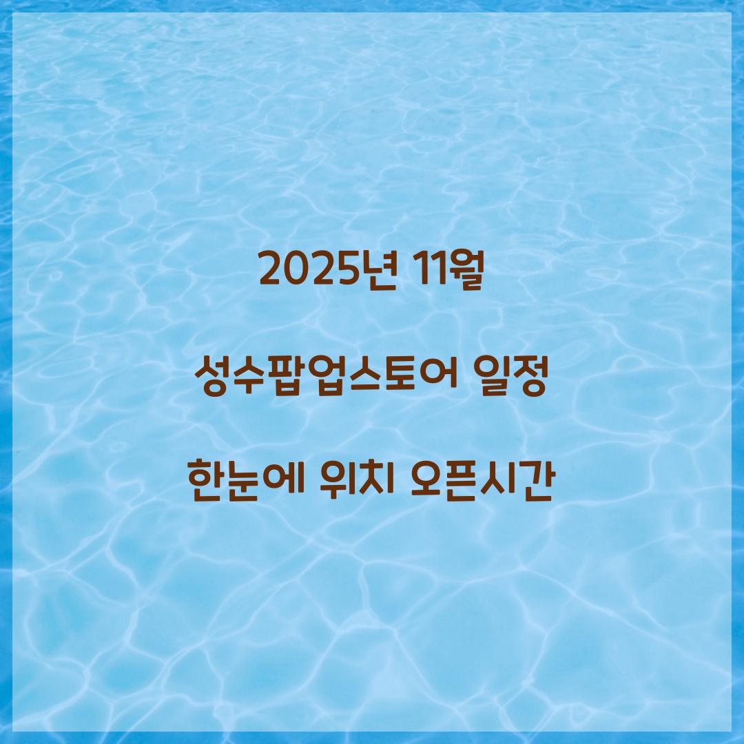 2025년 11월 성수팝업스토어 일정