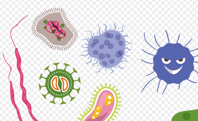 병원 내 다제 내성균 관리 기준