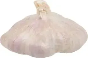 마늘