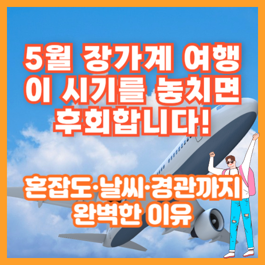 5월 장가계 여행, 이 시기를 놓치면 후회합니다! (혼잡도·날씨·경관까지 완벽한 이유)