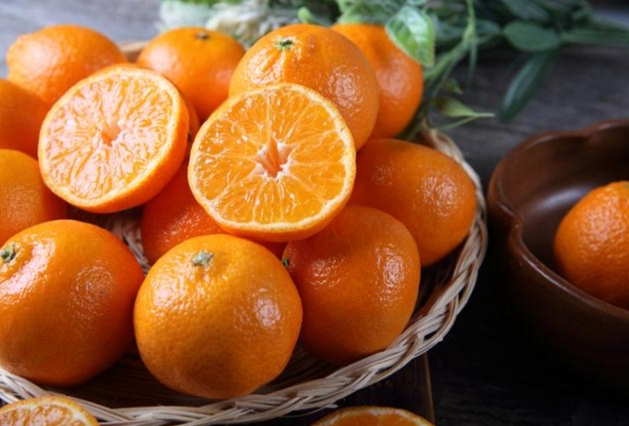 감귤이미지/사진